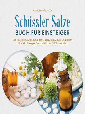 cover image of Schüssler Salze Buch für Einsteiger